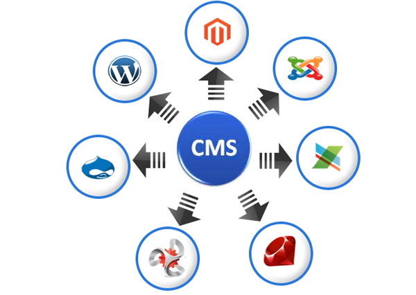 cheap price cms website designers in hyderbad